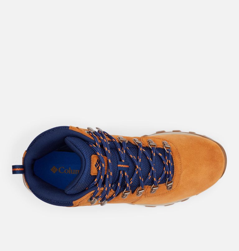 Columbia Newton Ridge™ Plus II Suede Waterdichte Wandellaarzen Heren Blauw Grijs | UYO7566DH