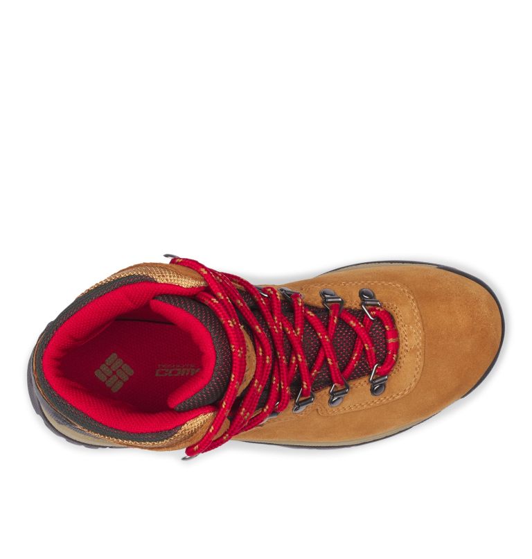 Columbia Newton Ridge™ Plus Waterdichte Amped Wandellaarzen Dames Blauw Rood | JTE2934HG