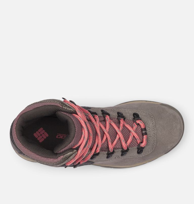 Columbia Newton Ridge™ Plus Waterdichte Amped Wandellaarzen Dames Roze | OTY4274AL