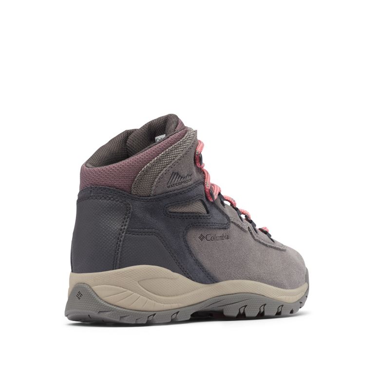 Columbia Newton Ridge™ Plus Waterdichte Amped Wandellaarzen Dames Roze | OTY4274AL